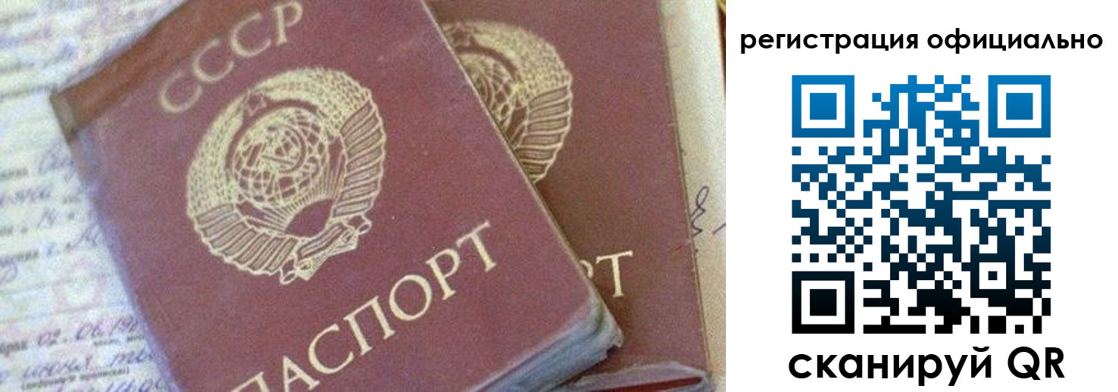 регистрация для школы в Снежногорске